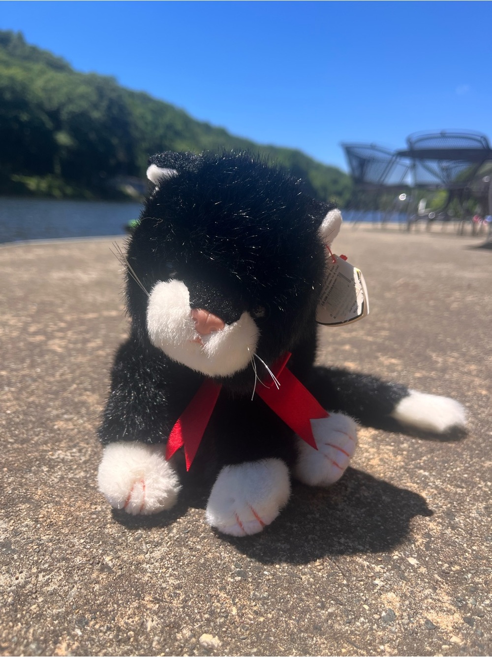 Ty vintage Black & White full size 10”Plush Cat with Red Bow NWT